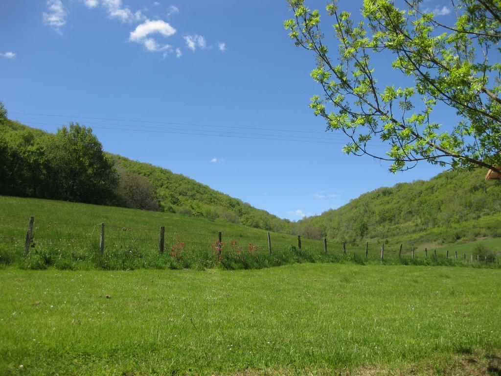 Domaine La Rose Bed and Breakfast Caylus Esterno foto