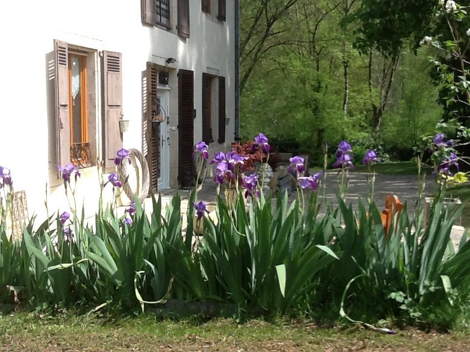 Domaine La Rose Bed and Breakfast Caylus Esterno foto